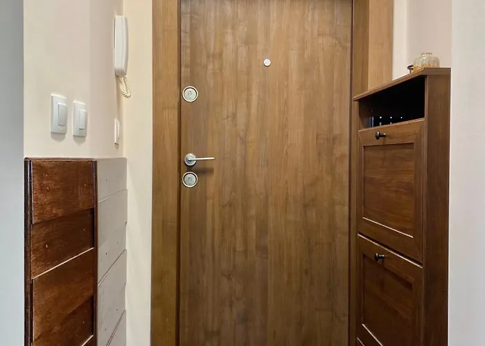 Sunny & Cozy For 4 Guests & Free Parking 公寓 普罗夫迪夫