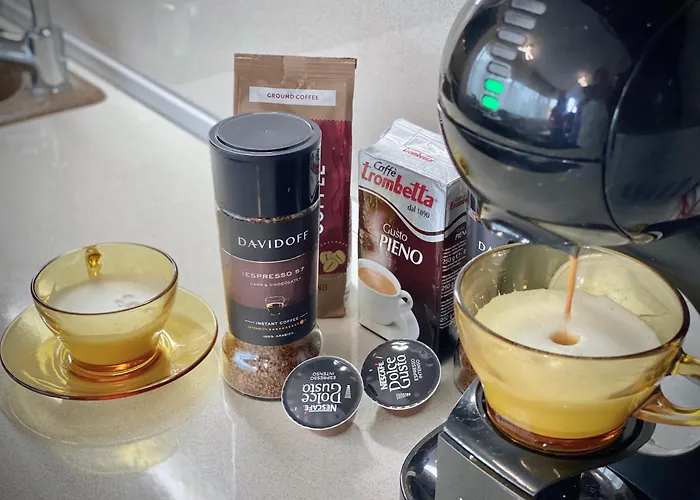 Sunny & Cozy For 4 Guests & Free Parking 公寓 普罗夫迪夫